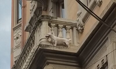 cane bloccato