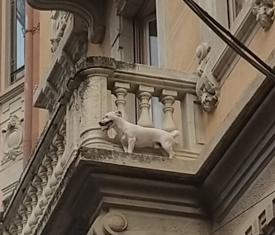 cane bloccato