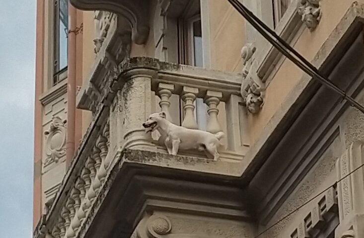 cane bloccato
