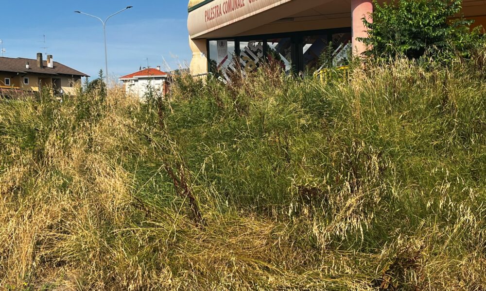 chiavazza abbandonata