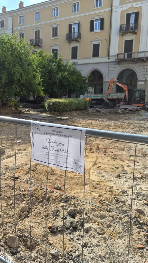 "Piangiamo la prossima scomparsa dei melograni e del verde urbano" - FOTO