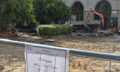 "Piangiamo la prossima scomparsa dei melograni e del verde urbano" - FOTO