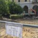 "Piangiamo la prossima scomparsa dei melograni e del verde urbano" - FOTO