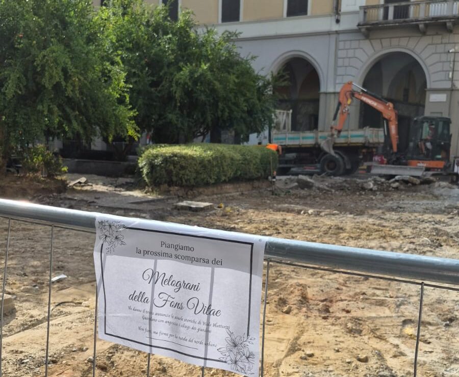 "Piangiamo la prossima scomparsa dei melograni e del verde urbano" - FOTO