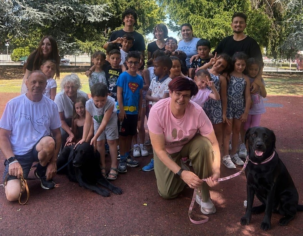 pet therapy