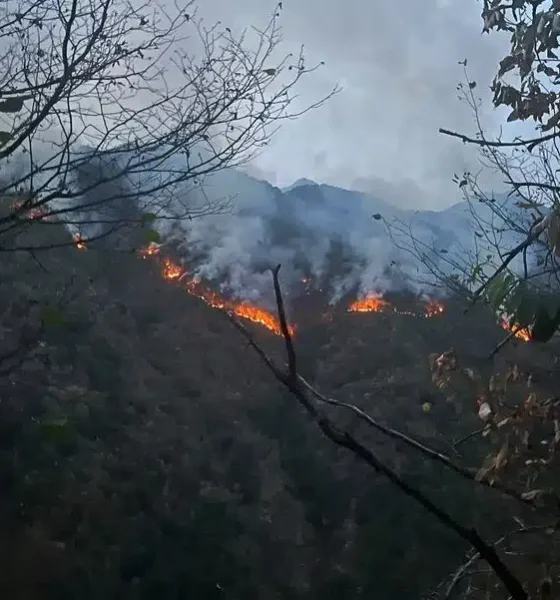 Il fuoco è sempre più vicino a Coggiola - FOTOGALLERY
