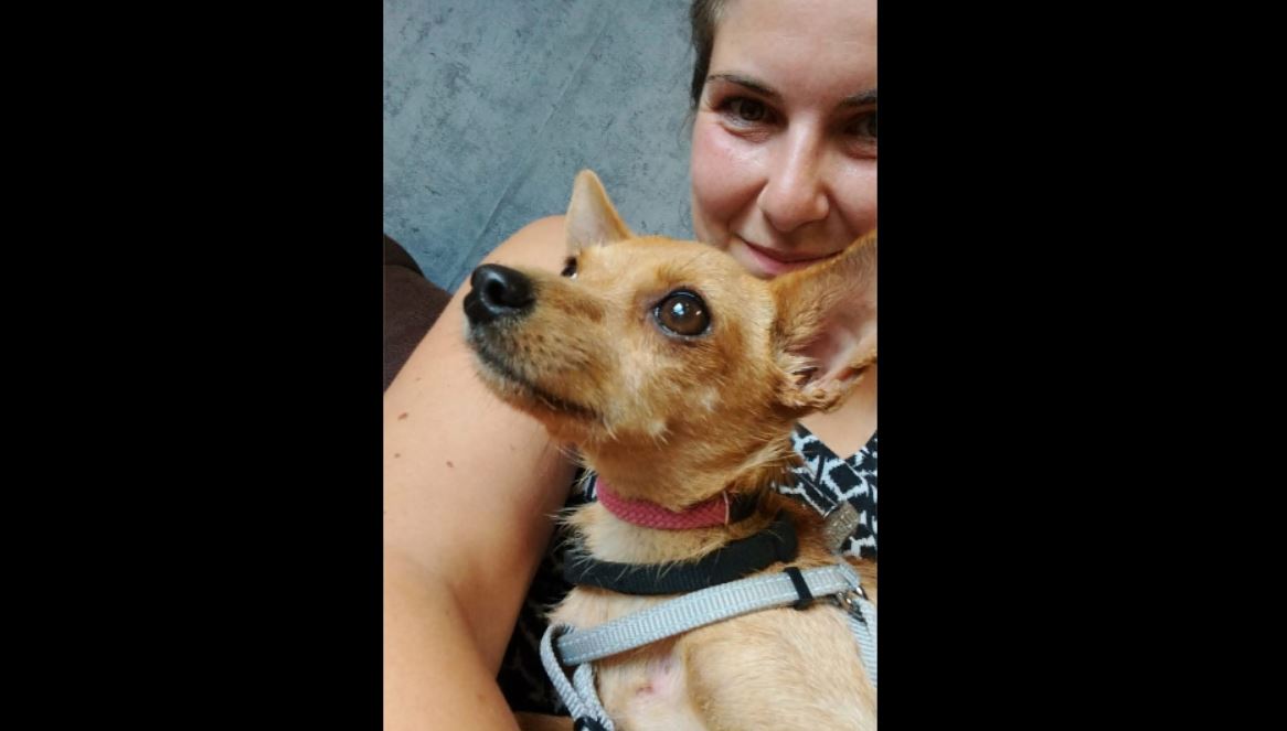 Abbandonata in autostrada, Tina trova il suo lieto fine