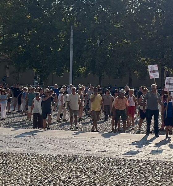 ciliegi referendum