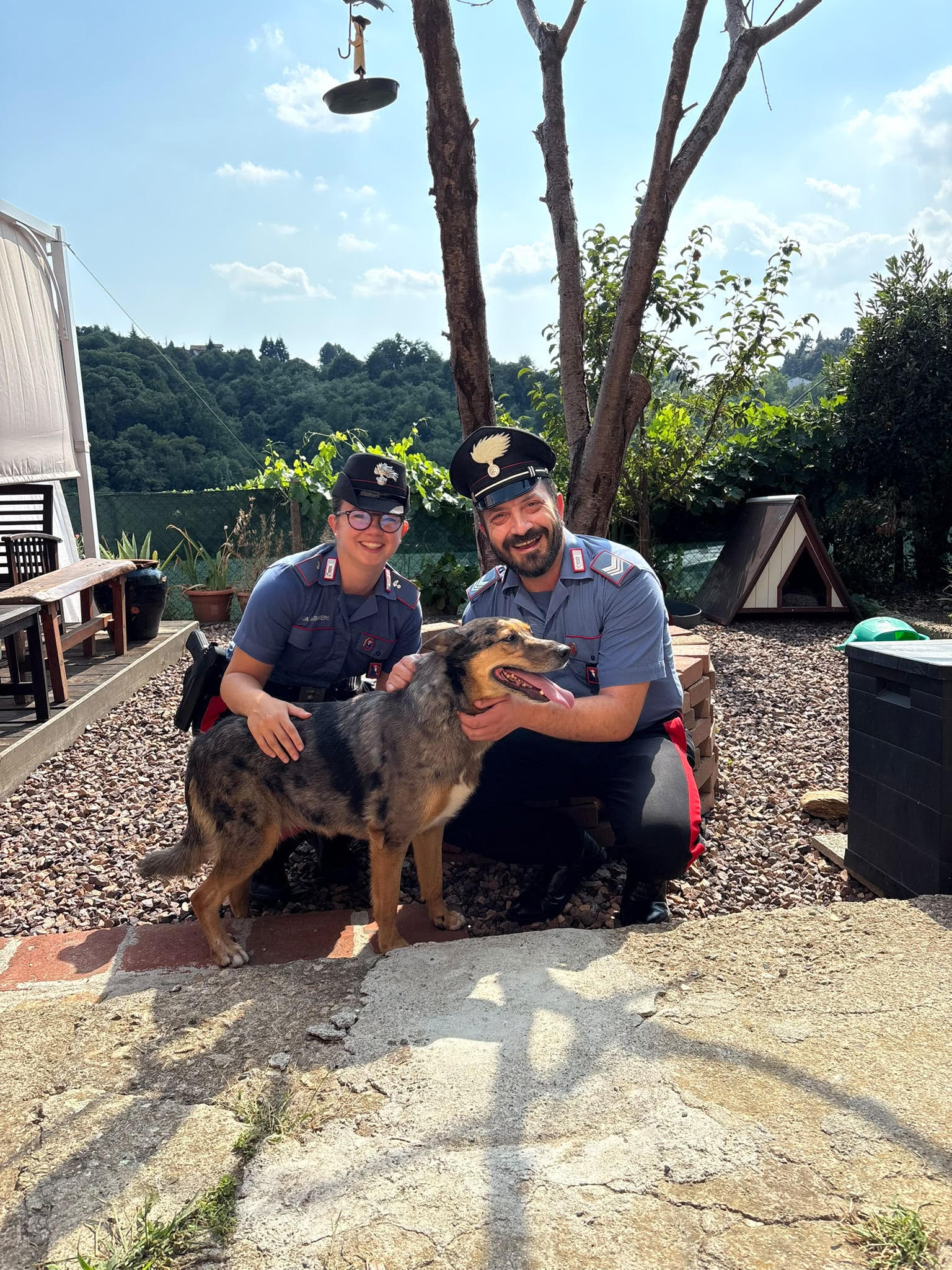 Cane in fuga lungo la strada, i carabinieri lo salvano 