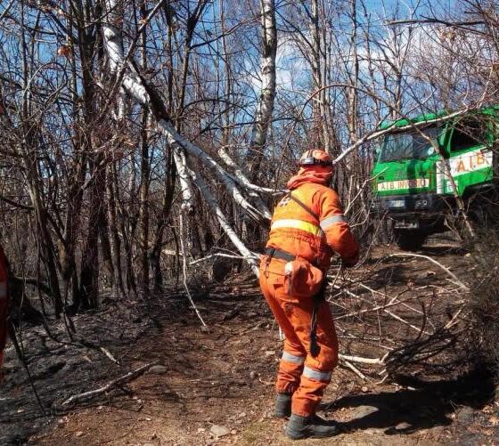Incendi boschivi: dall'11 settembre cessa lo stato di massima pericolosità in Piemonte