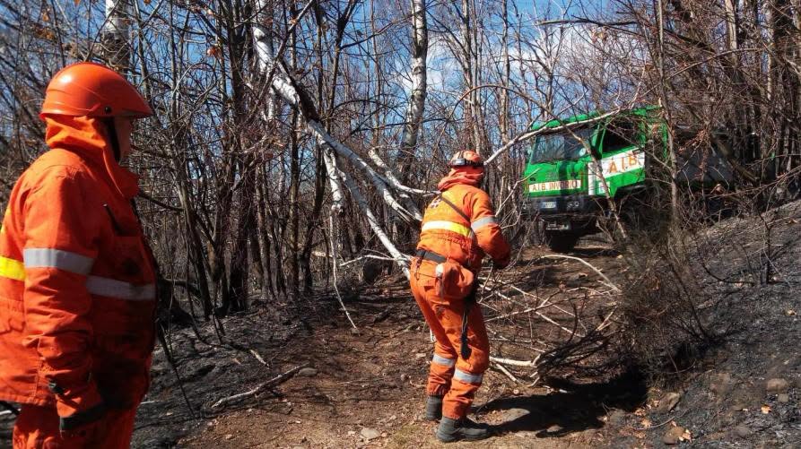 Incendi boschivi: dall'11 settembre cessa lo stato di massima pericolosità in Piemonte