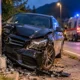 Animale attraversa la strada, auto si schianta contro un palo a Crevacuore