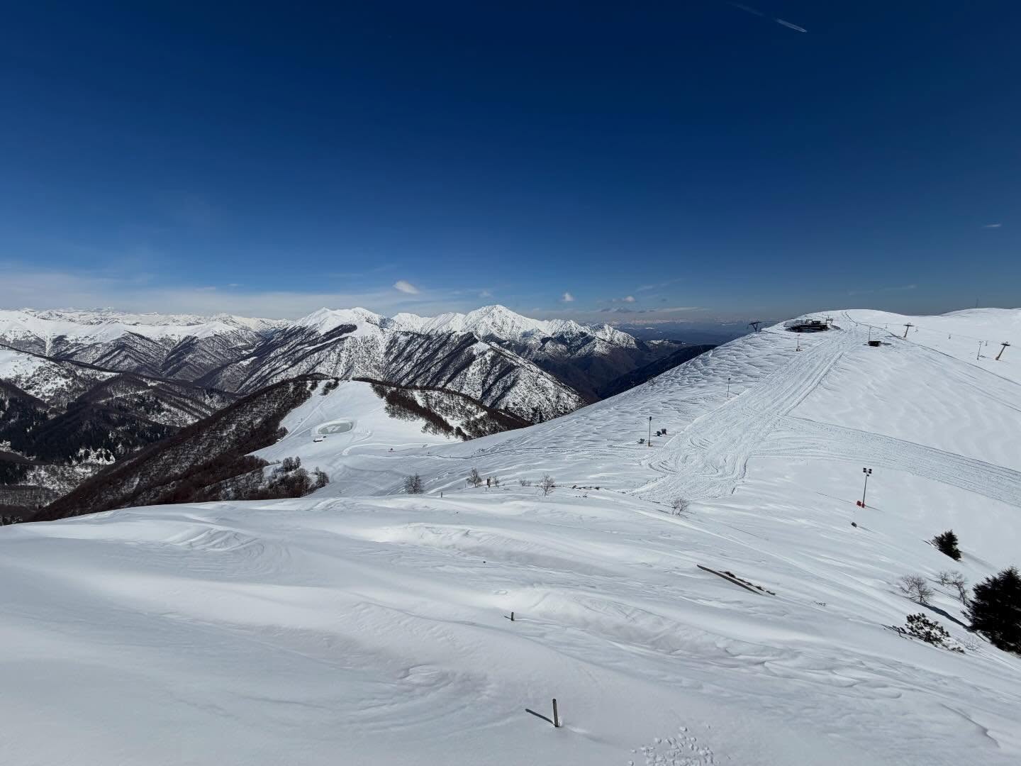 neve